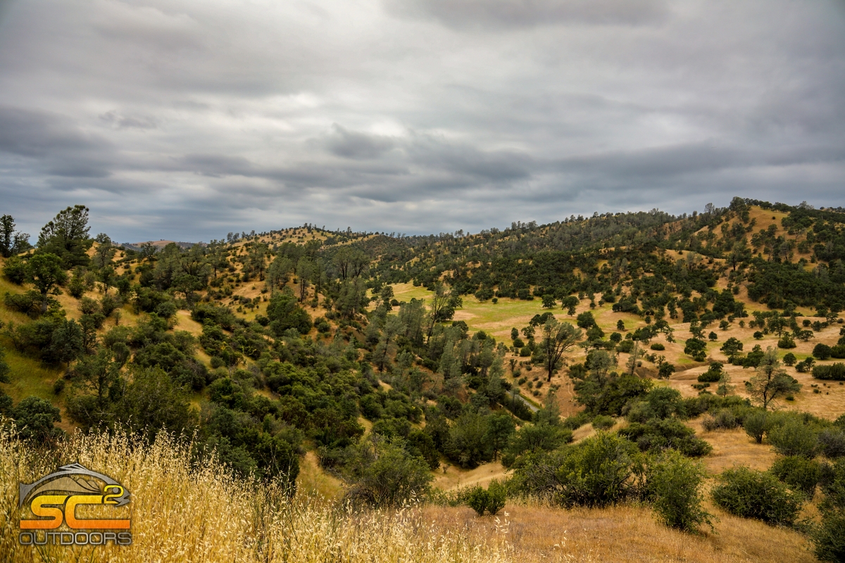Pentacola Ranch (Tehama County, California)